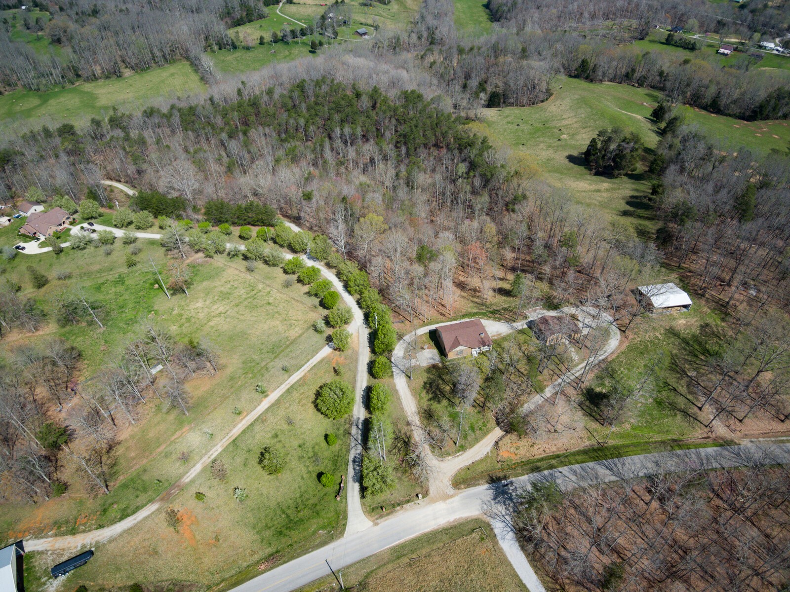 642 Campground Road Livingston, TN 38570 - Photo 2 of 49 a view of a yard with plants