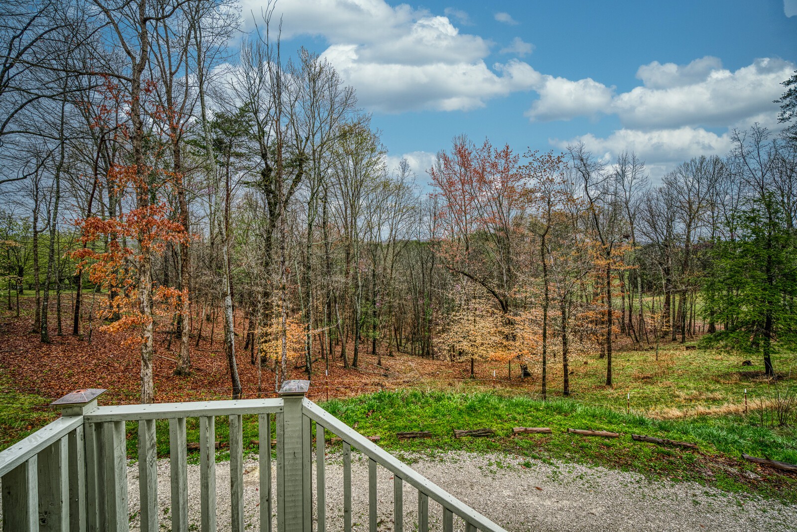 642 Campground Road Livingston, TN 38570 - Photo 28 of 49 a view of a yard with large trees