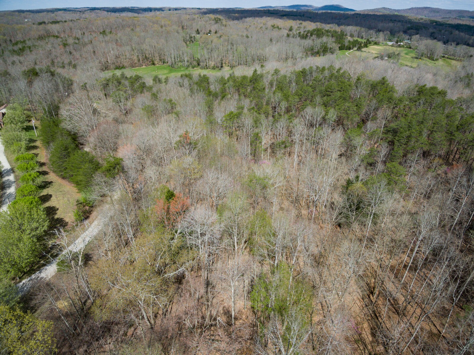 642 Campground Road Livingston, TN 38570 - Photo 42 of 49 a view of a forest with a street
