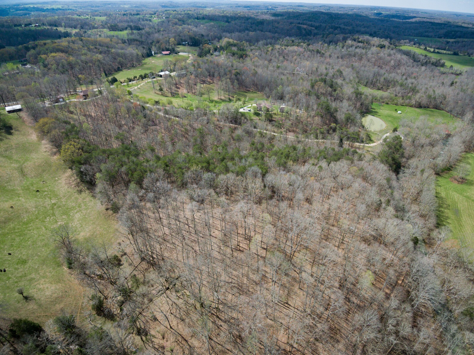 642 Campground Road Livingston, TN 38570 - Photo 43 of 49 a view of a lush green forest with lots of trees