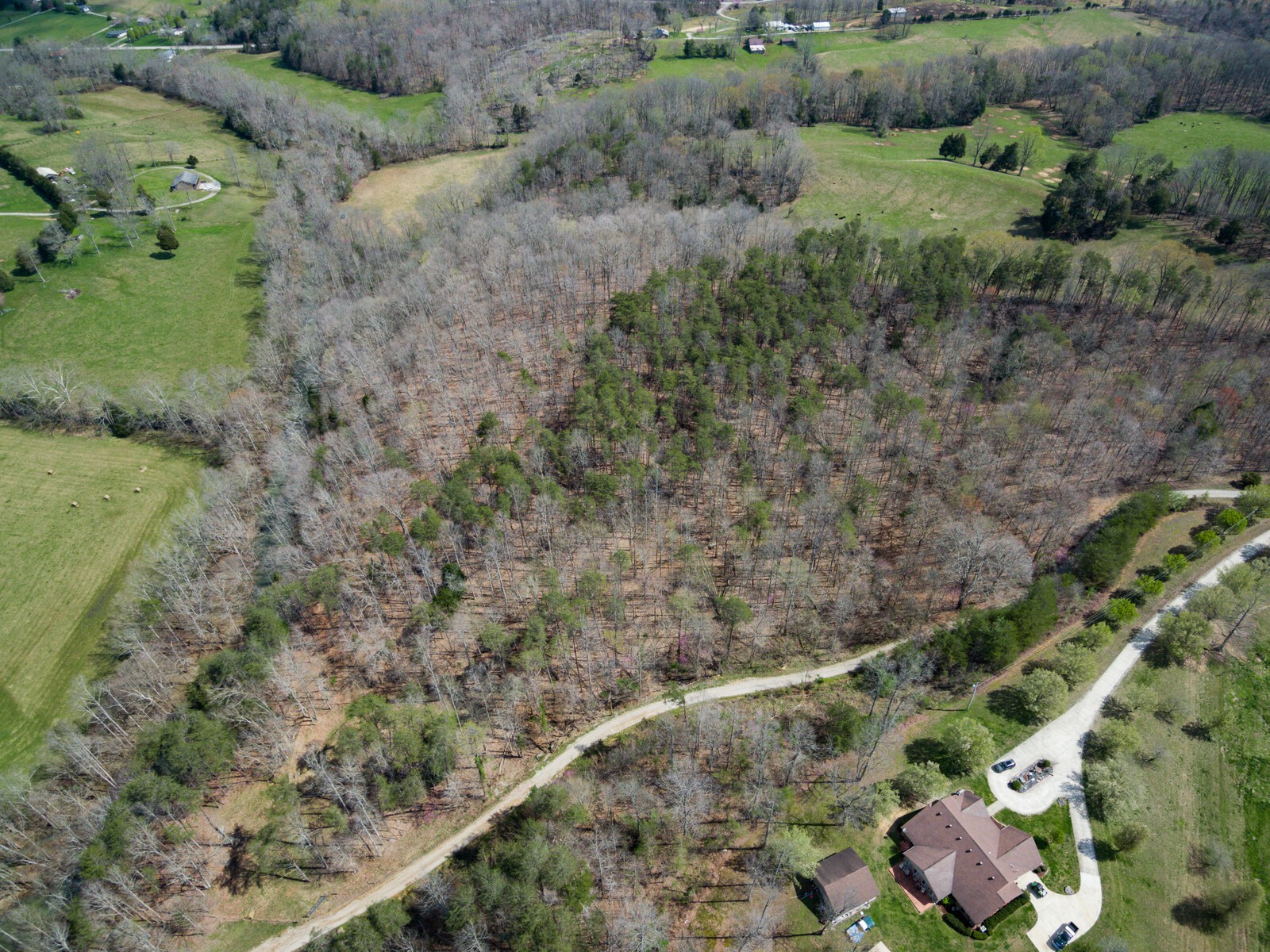 642 Campground Road Livingston, TN 38570 - Photo 45 of 49 a view of a yard with plants