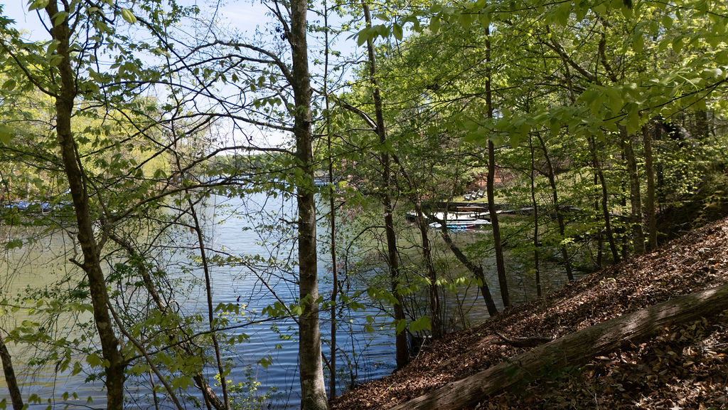 0 Bulldog Road Iva, SC 29655 - Photo 5 of 20 Mature trees frame a serene view of the sparkling lake from a sloping wooded bank.
