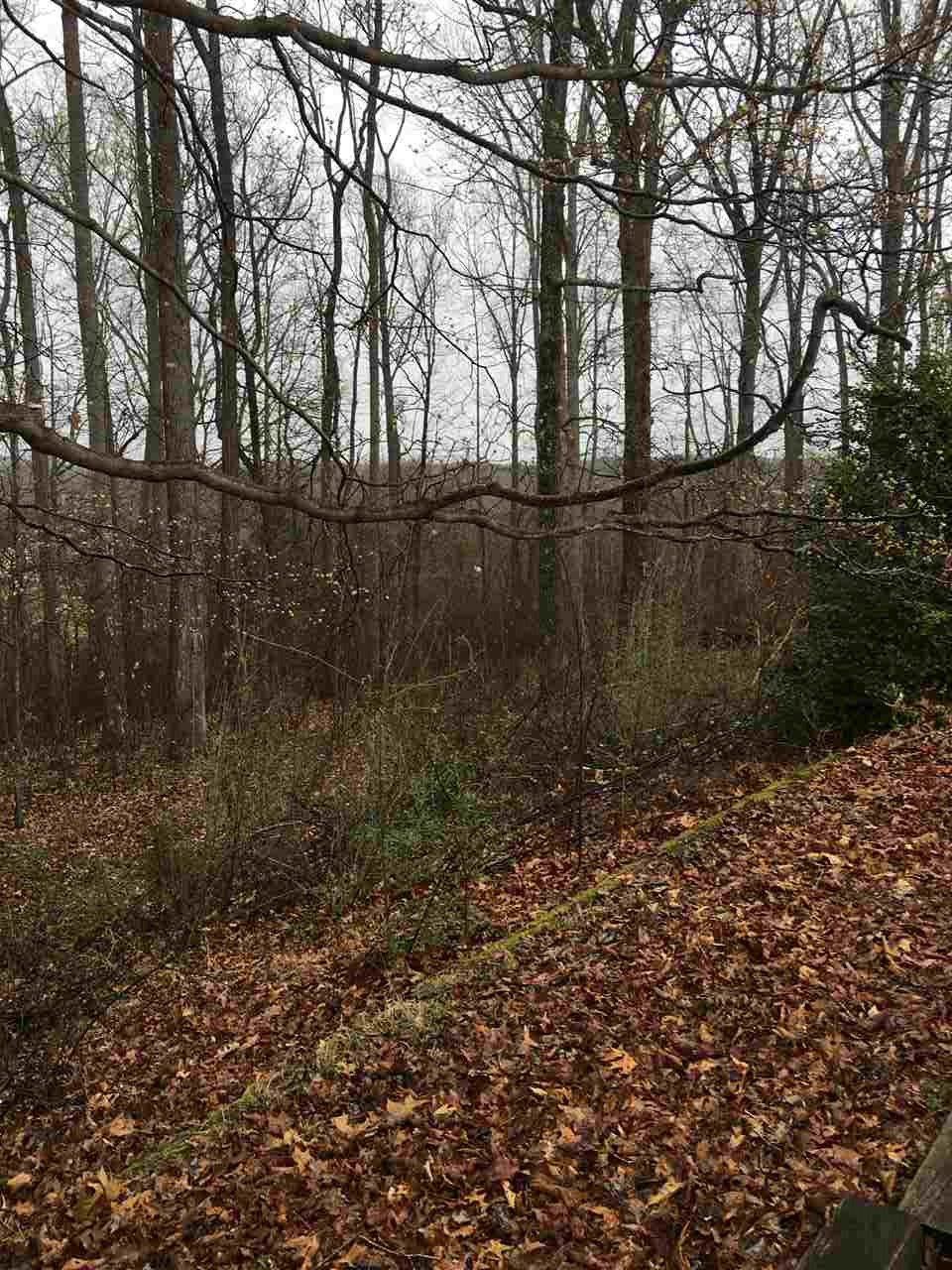 294 Devonshire Lane Pacolet, SC 29372 - Photo 6 of 22 Gallery Image 6