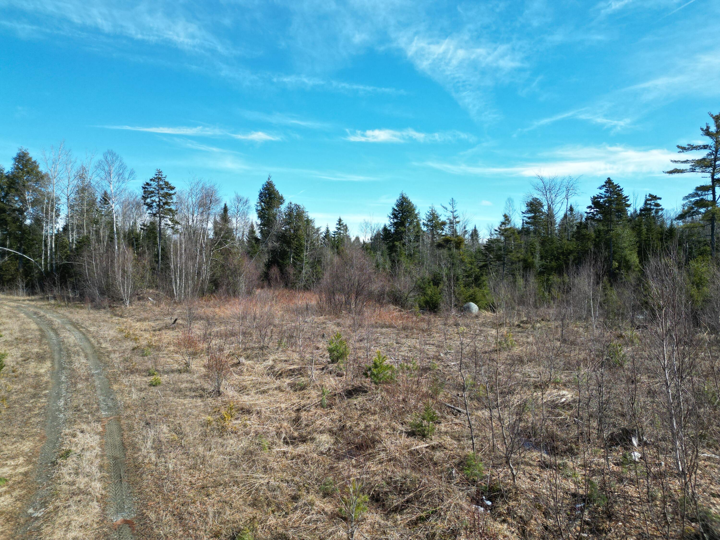 Lot 2-2 Main Road Carroll Plt, ME 04487 - Photo 1 of 25 DJI_0854