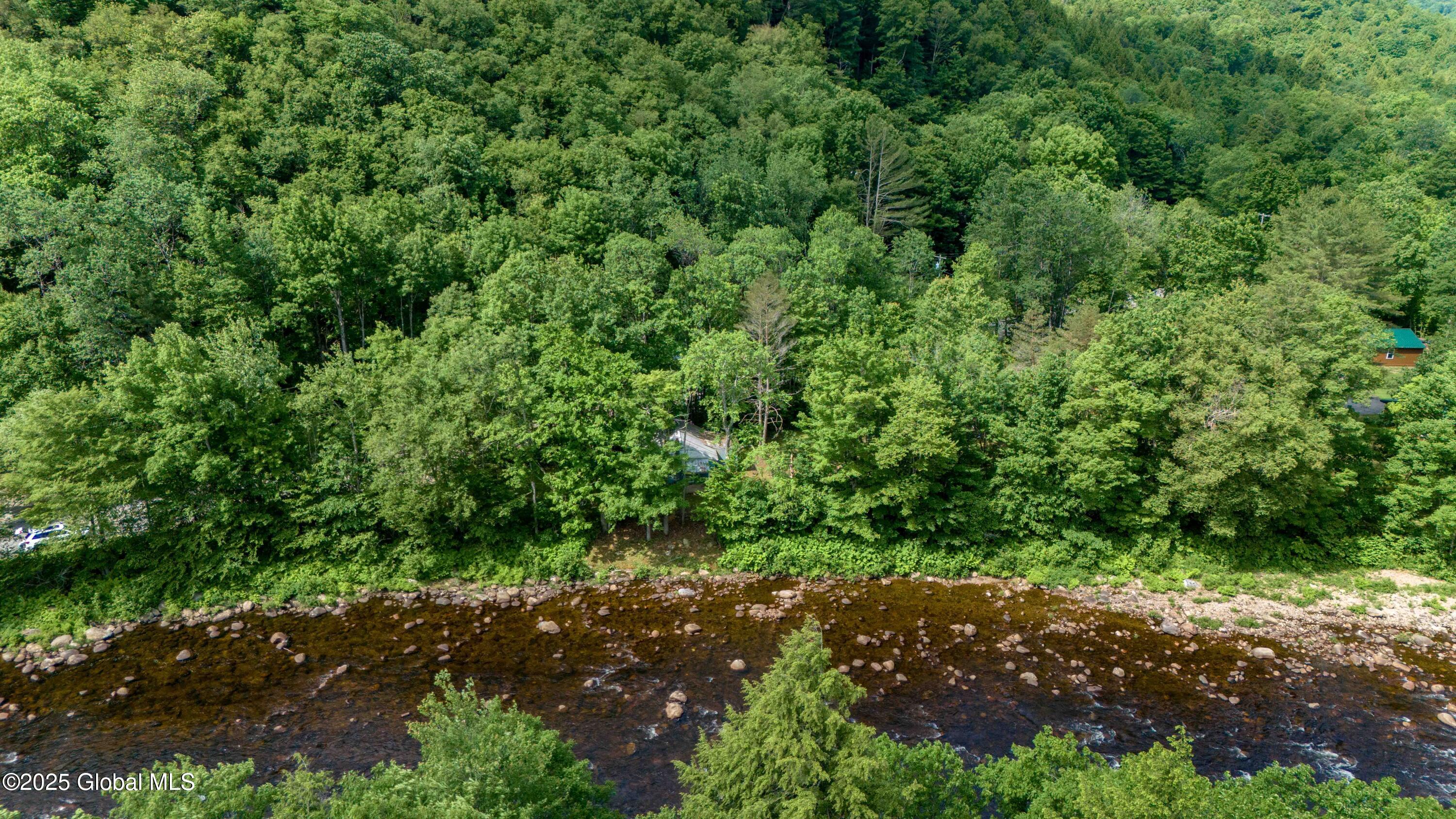 181 Hernandez Road Wells, NY 12190 - Photo 25 of 37 181 Hermandez Rd-14