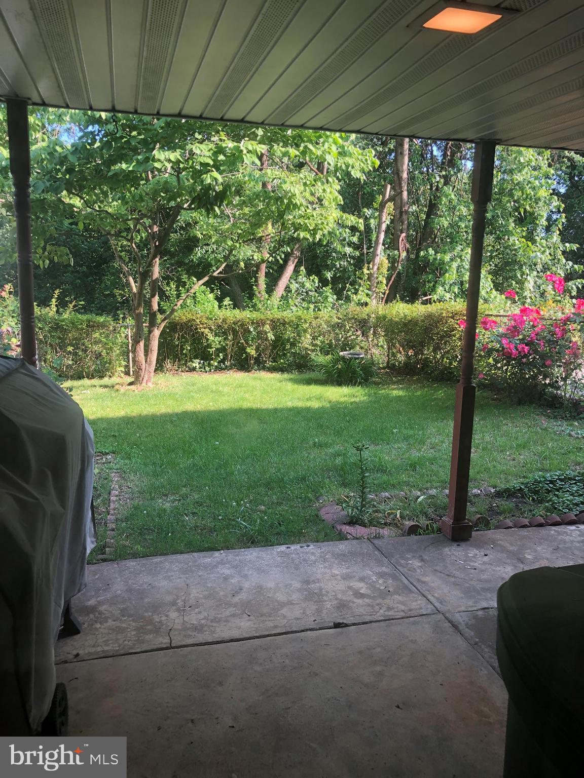 11876 Basile Road Philadelphia, PA 19154 - Photo 7 of 16 Backyard