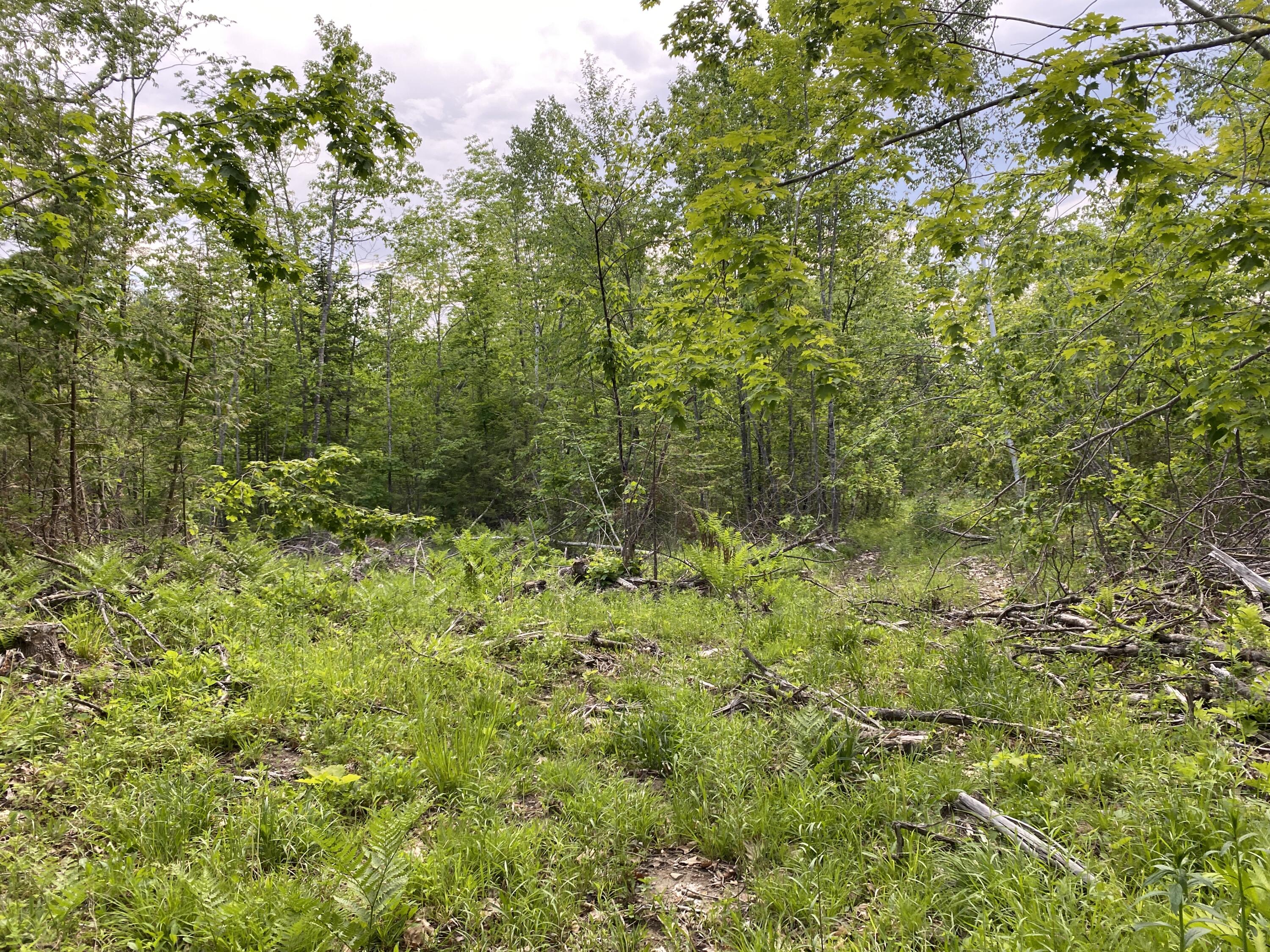 Lot A Dead Water Road Moscow, ME 04920 - Photo 7 of 8 IMG_1360