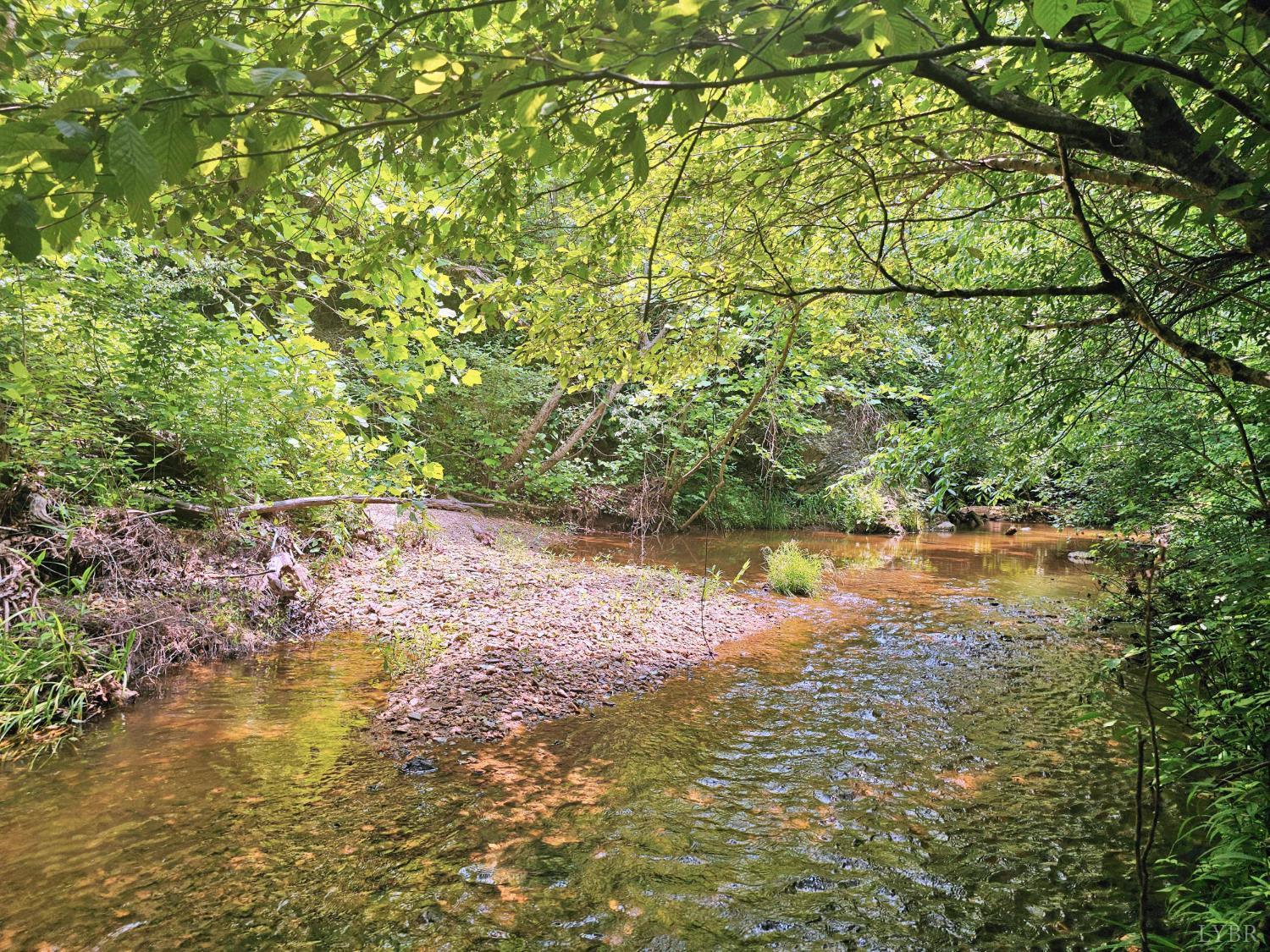 1967 Cub Creek Road Appomattox, VA 24522 - Photo 16 of 69 Cub creek at back of property