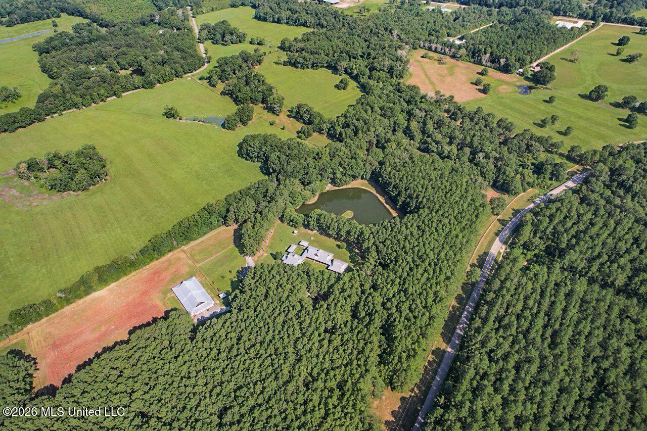 1163 John Amacker Road Poplarville, MS 39470 - Photo 13 of 44 14