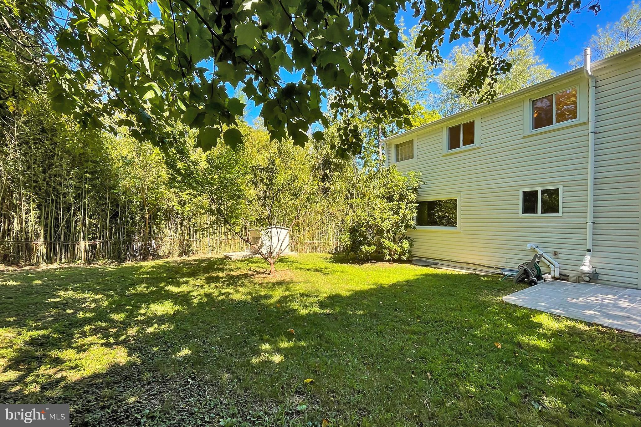3304 Annandale Road Falls Church, VA 22042 - Photo 51 of 57 Spacious Backyard