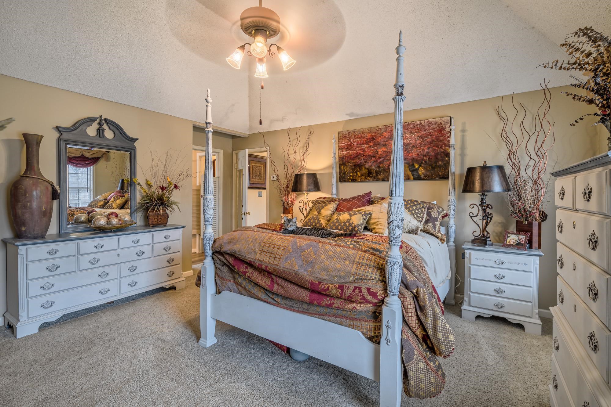 256 Windy Ridge Cove Collierville, TN 38017 - Photo 21 of 25 a bed room with a bed and a dresser