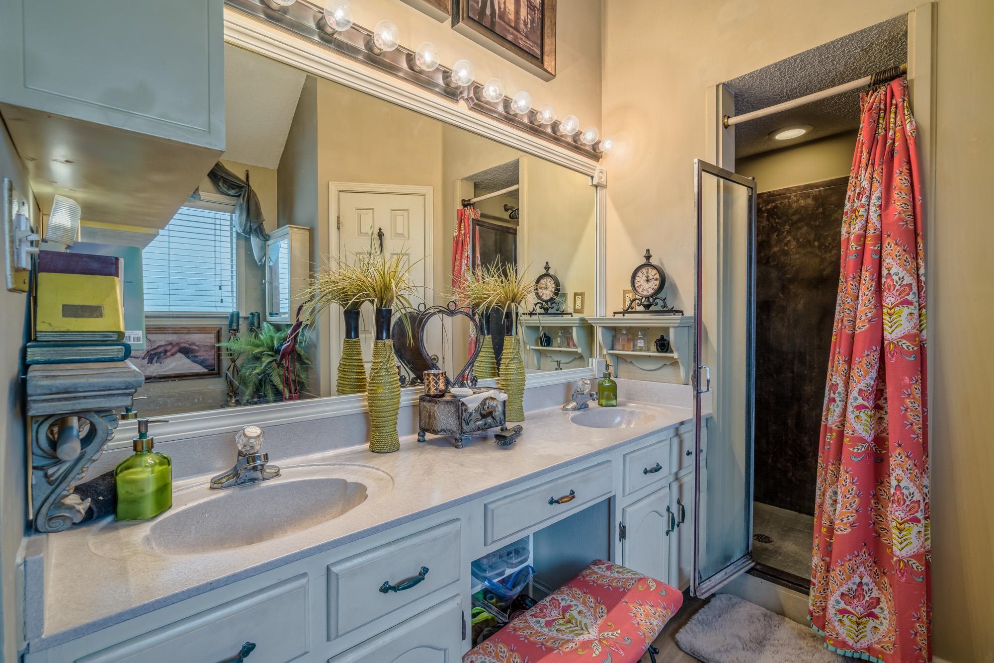 256 Windy Ridge Cove Collierville, TN 38017 - Photo 22 of 25 a bathroom with a sink and a mirror