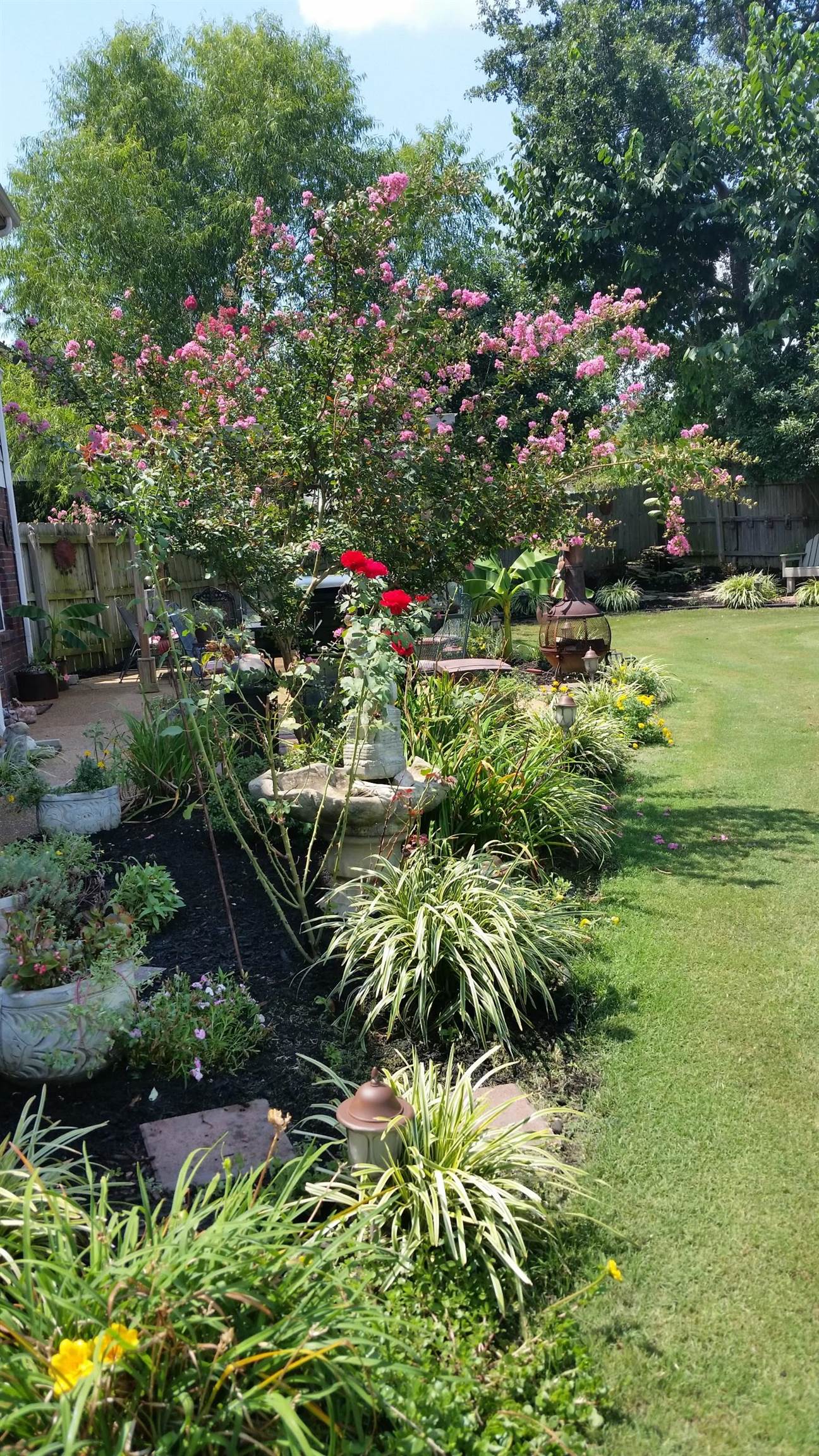 256 Windy Ridge Cove Collierville, TN 38017 - Photo 23 of 25 a view of a garden with flowers