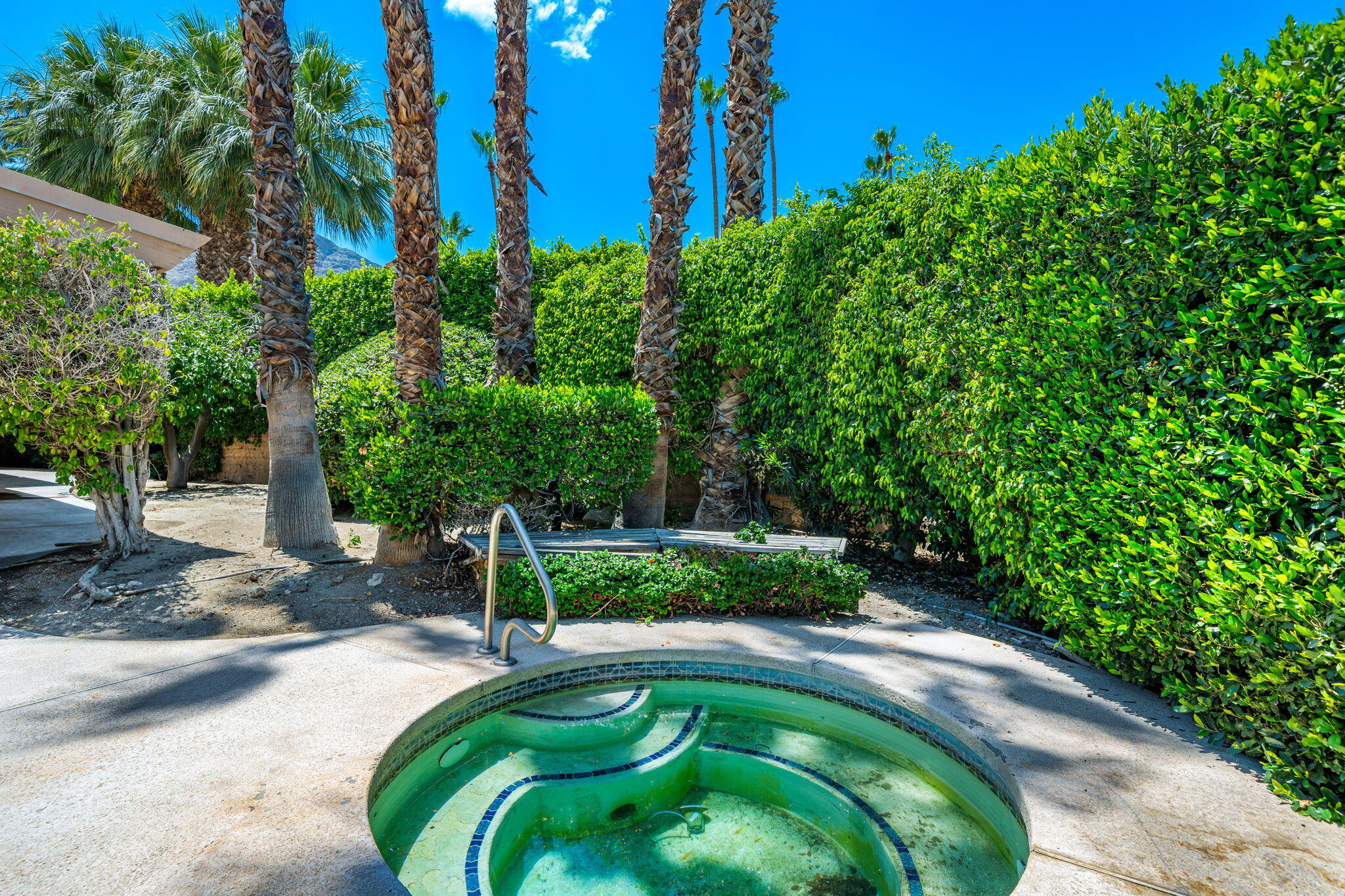 70465 Pecos Road Rancho Mirage, CA 92270 - Photo 29 of 48 a backyard with plants and trees