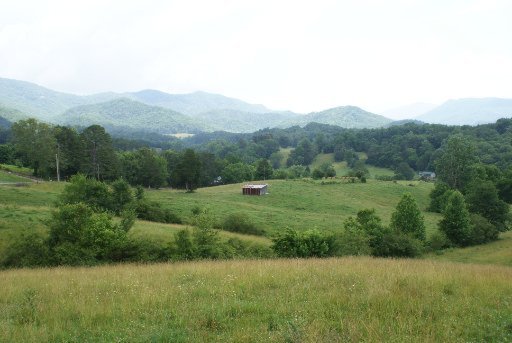 28-acres Berry Williams Road Townsend, TN 37882 - Photo 1 of 21 Primary Photo