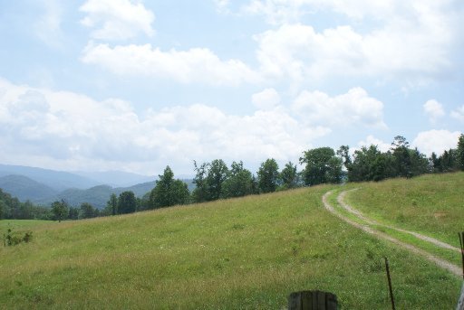 28-acres Berry Williams Road Townsend, TN 37882 - Photo 2 of 21 Additional Photo