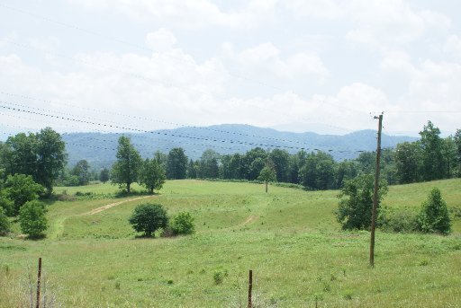 28-acres Berry Williams Road Townsend, TN 37882 - Photo 13 of 21 Additional Photo