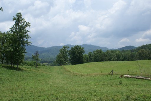 28-acres Berry Williams Road Townsend, TN 37882 - Photo 16 of 21 Additional Photo