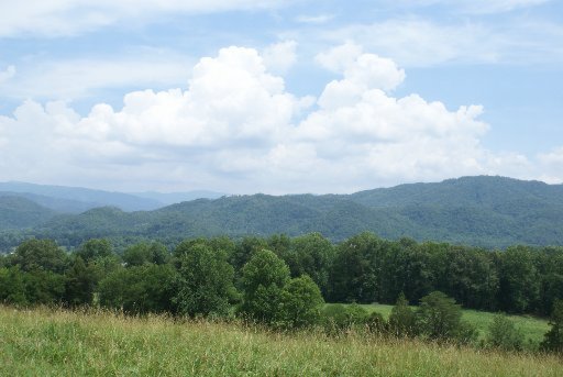 28-acres Berry Williams Road Townsend, TN 37882 - Photo 19 of 21 Additional Photo