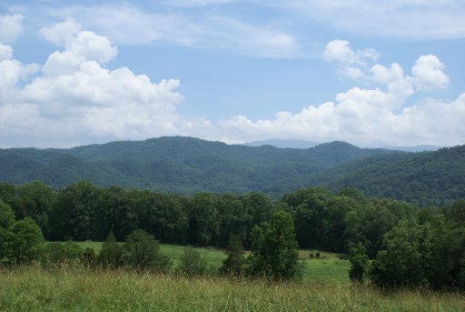 28-acres Berry Williams Road Townsend, TN 37882 - Photo 20 of 21 Additional Photo