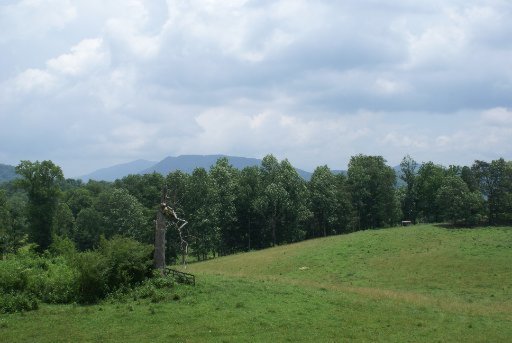 28-acres Berry Williams Road Townsend, TN 37882 - Photo 21 of 21 Additional Photo