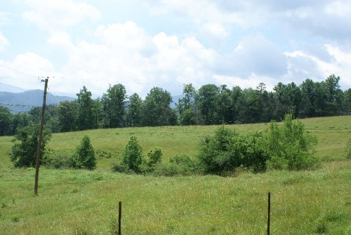 28-acres Berry Williams Road Townsend, TN 37882 - Photo 4 of 21 Additional Photo