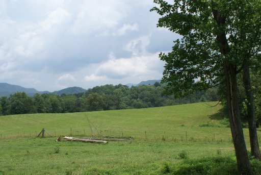 28-acres Berry Williams Road Townsend, TN 37882 - Photo 5 of 21 Additional Photo