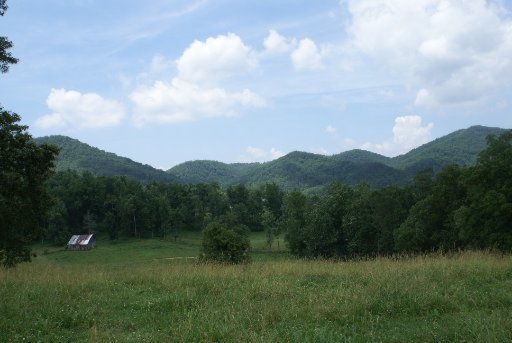 28-acres Berry Williams Road Townsend, TN 37882 - Photo 6 of 21 Additional Photo