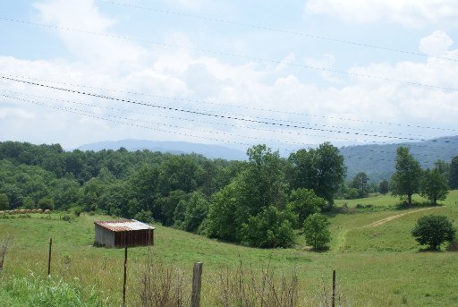 28-acres Berry Williams Road Townsend, TN 37882 - Photo 7 of 21 Additional Photo