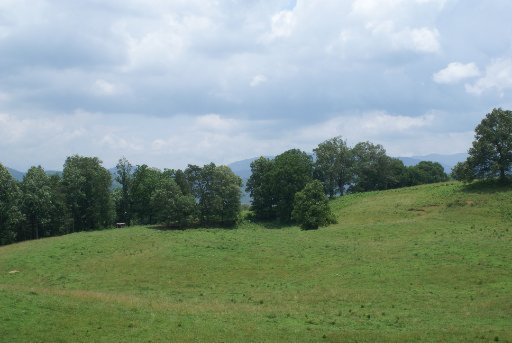 28-acres Berry Williams Road Townsend, TN 37882 - Photo 8 of 21 Additional Photo