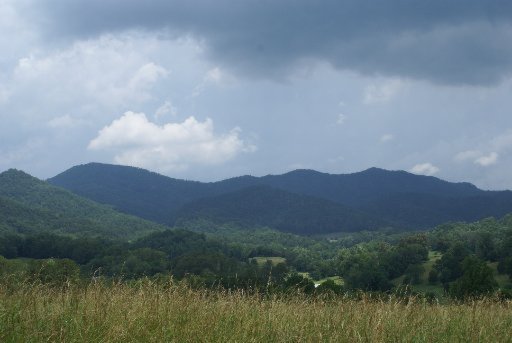 28-acres Berry Williams Road Townsend, TN 37882 - Photo 10 of 21 Additional Photo