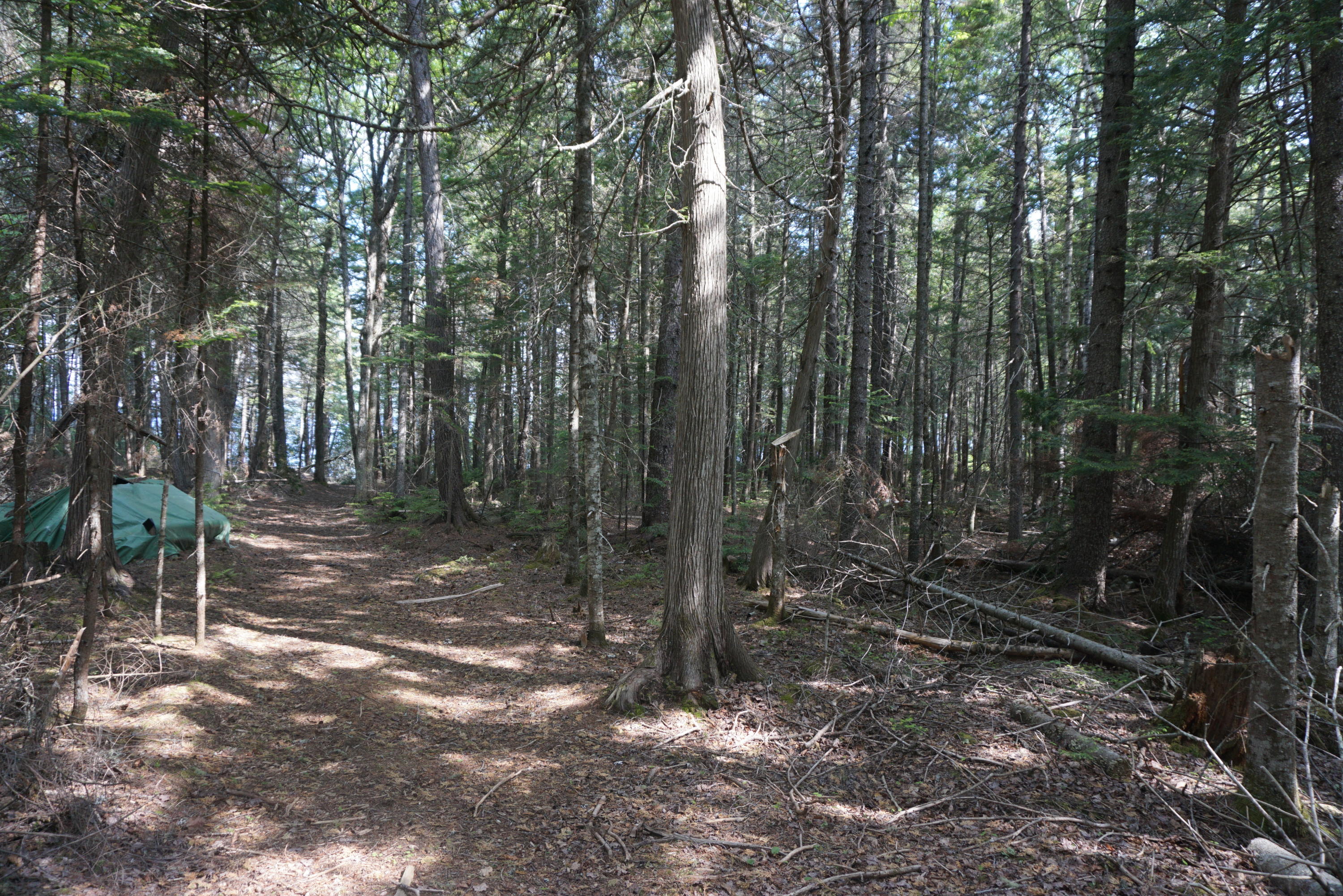 1.3 Evergreen Point Road Beaver Cove, ME 04441 - Photo 11 of 29 74B7F156-7FF1-4A11-9F43-B872629D8B24