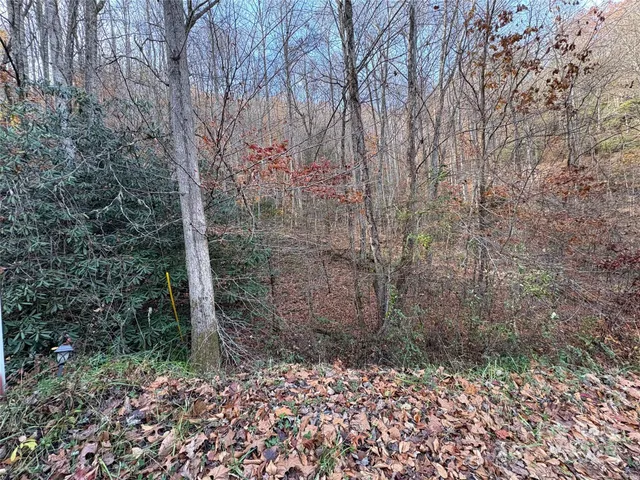 a view of a pathway of a building