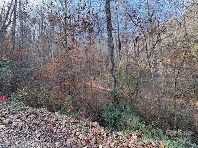 a view of backyard with green space