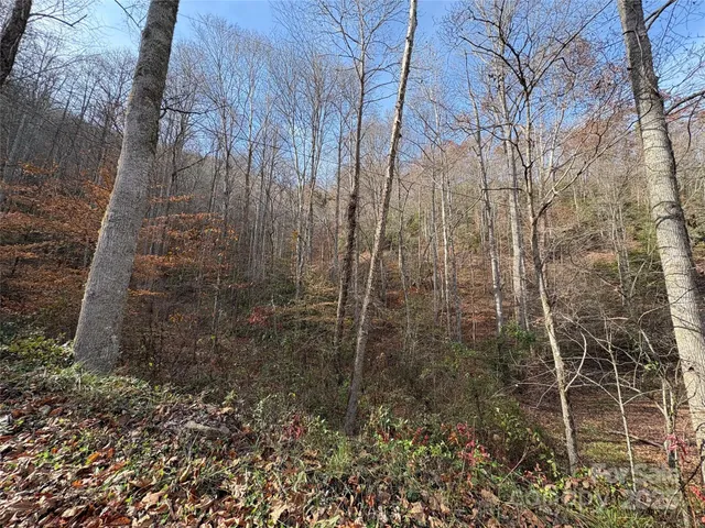 a view of backyard with green space