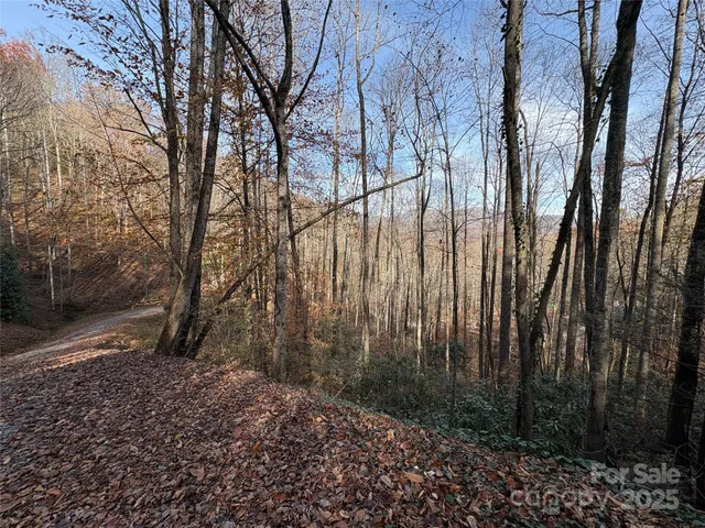 a backyard of a house with lots of green space and a fountain