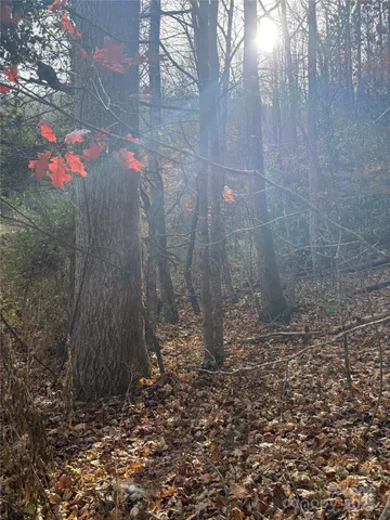 a view of a pathway both side of a road