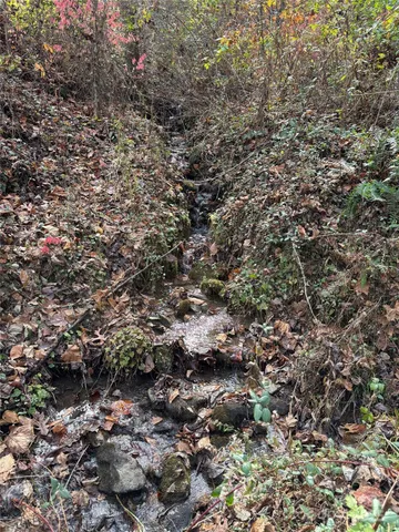 a view of a forest with trees and houses