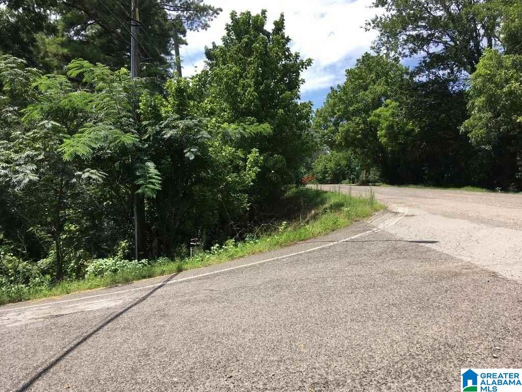 5119 Amber Hills Road Birmingham, AL 35210 - Photo 1 of 2