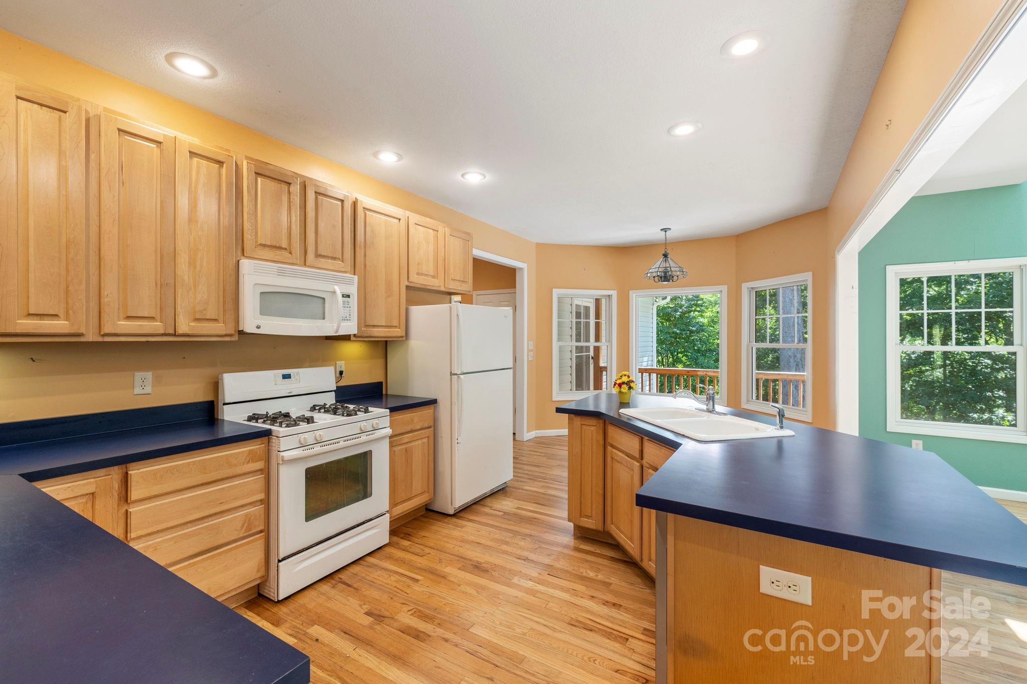 718 Thunder Road Brevard, NC 28712 - Photo 12 of 46 Gallery Image 12