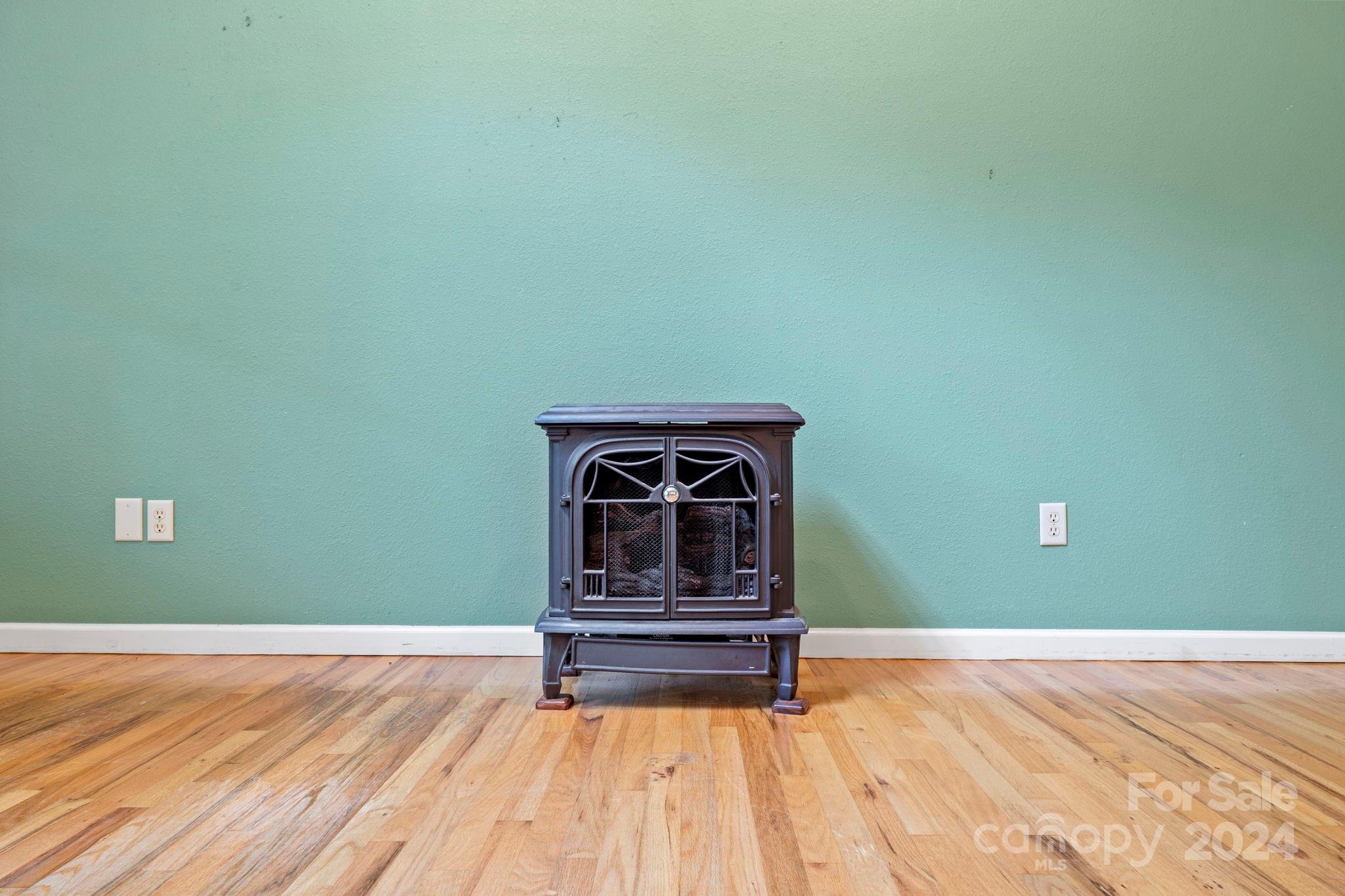 718 Thunder Road Brevard, NC 28712 - Photo 16 of 46 Gallery Image 16
