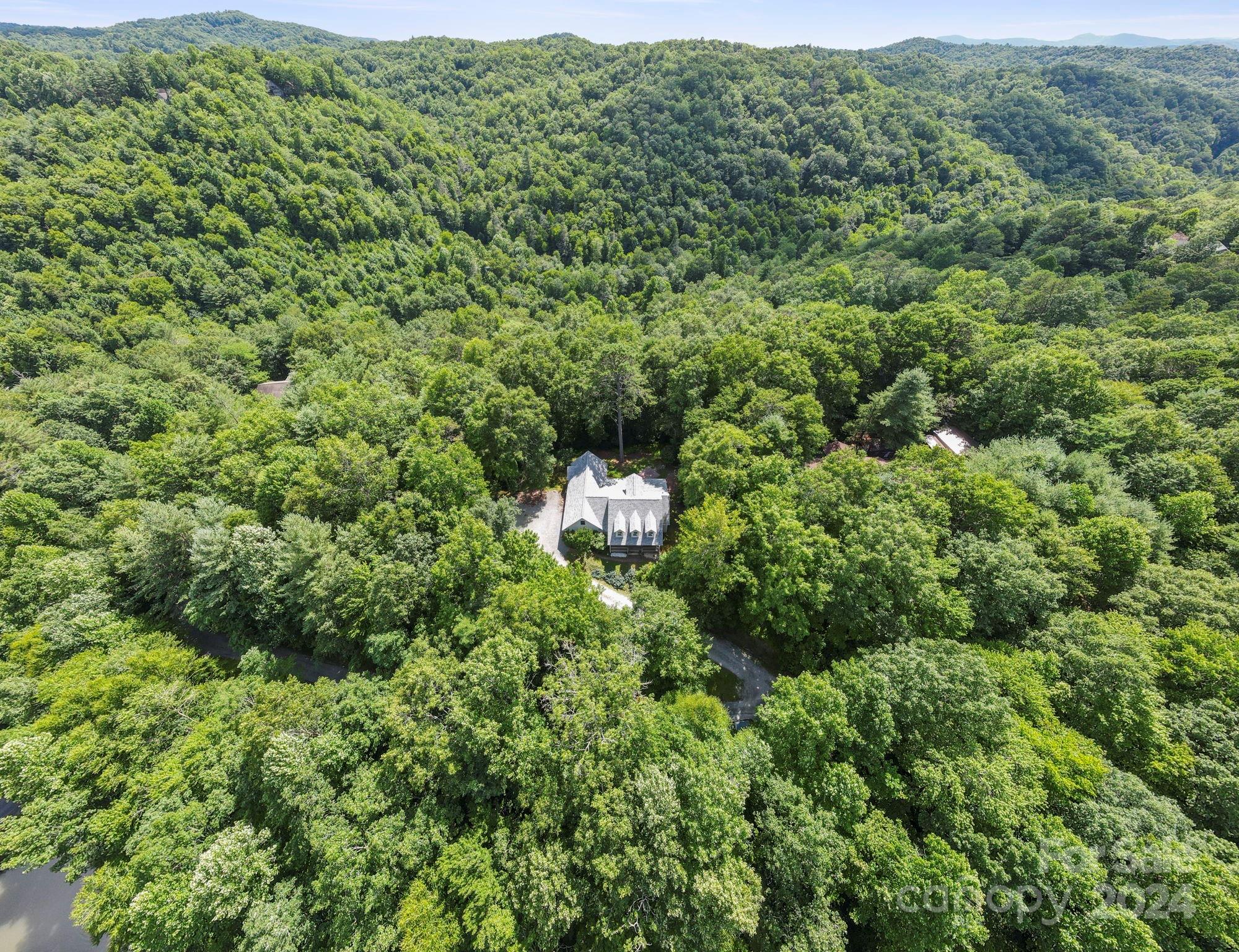718 Thunder Road Brevard, NC 28712 - Photo 39 of 46 Gallery Image 39