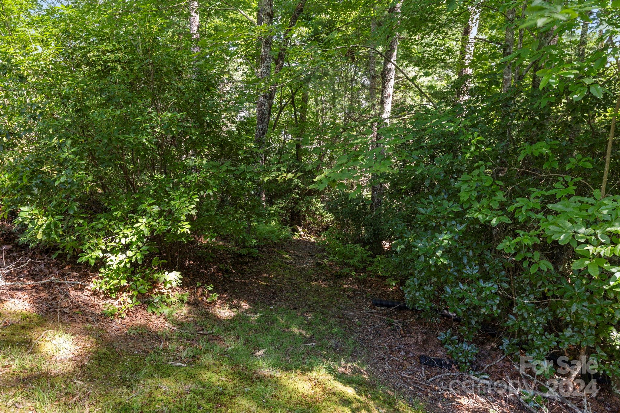 718 Thunder Road Brevard, NC 28712 - Photo 42 of 46 Gallery Image 42