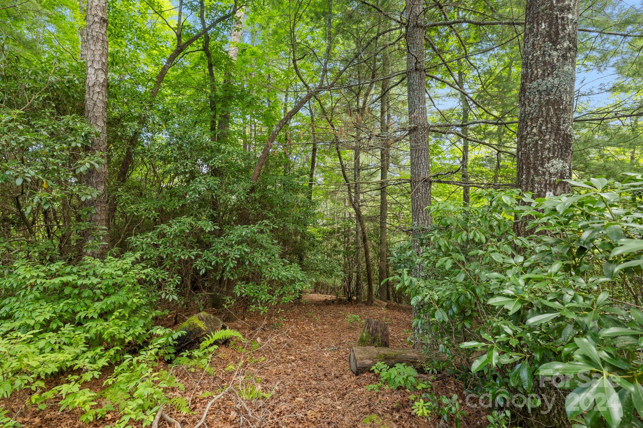 718 Thunder Road Brevard, NC 28712 - Photo 43 of 46 Gallery Image 43