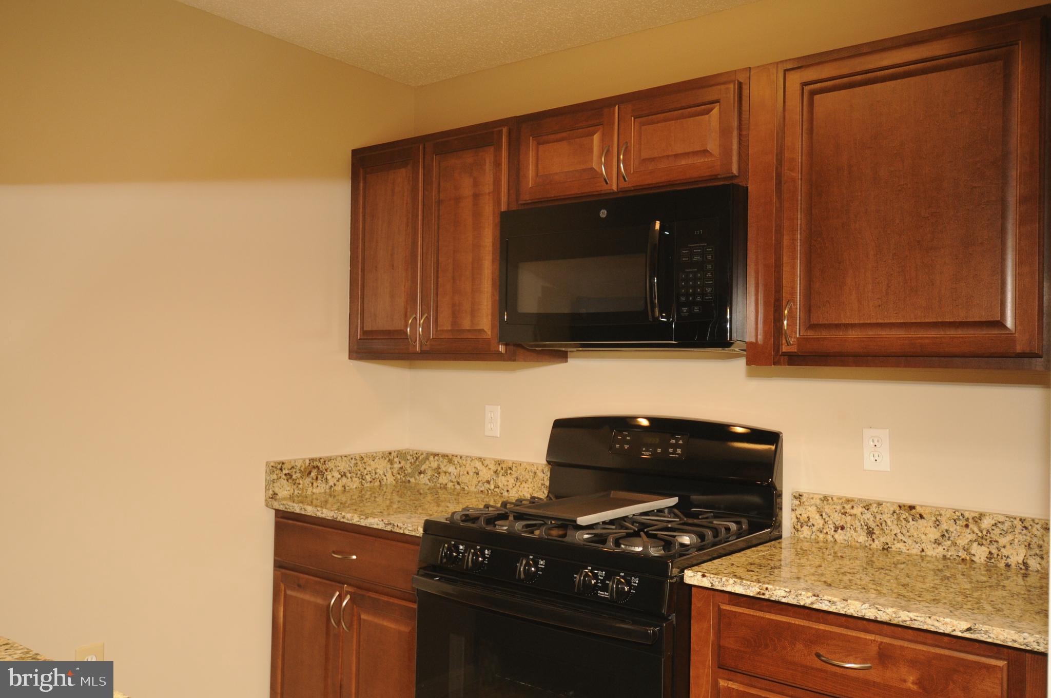 21009 Timber Ridge Terrace, Unit 103 Ashburn, VA 20147 - Photo 5 of 26 Gallery Image 5