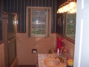 141 Wonder Valley Road Bristol, TN 37620 - Photo 14 of 18 Hall bath on main level