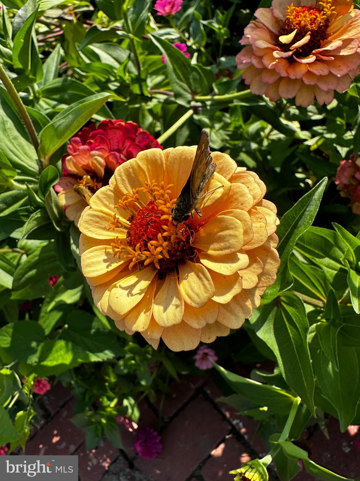 201 Federal Street Milton, DE 19968 - Photo 62 of 78