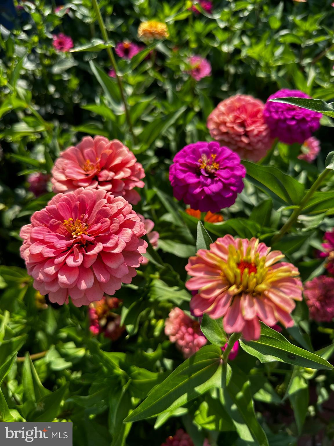 201 Federal Street Milton, DE 19968 - Photo 63 of 78