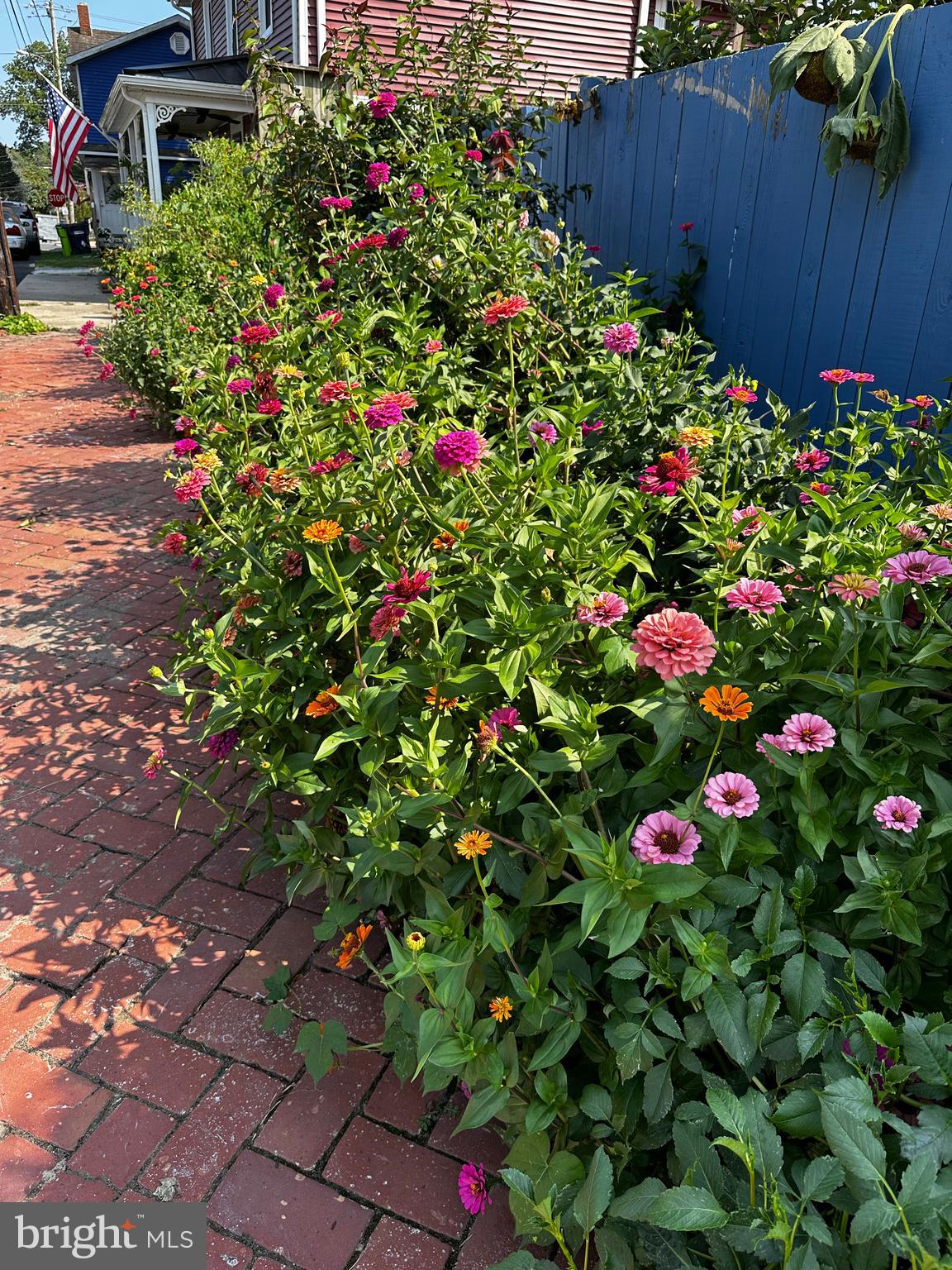 201 Federal Street Milton, DE 19968 - Photo 64 of 78