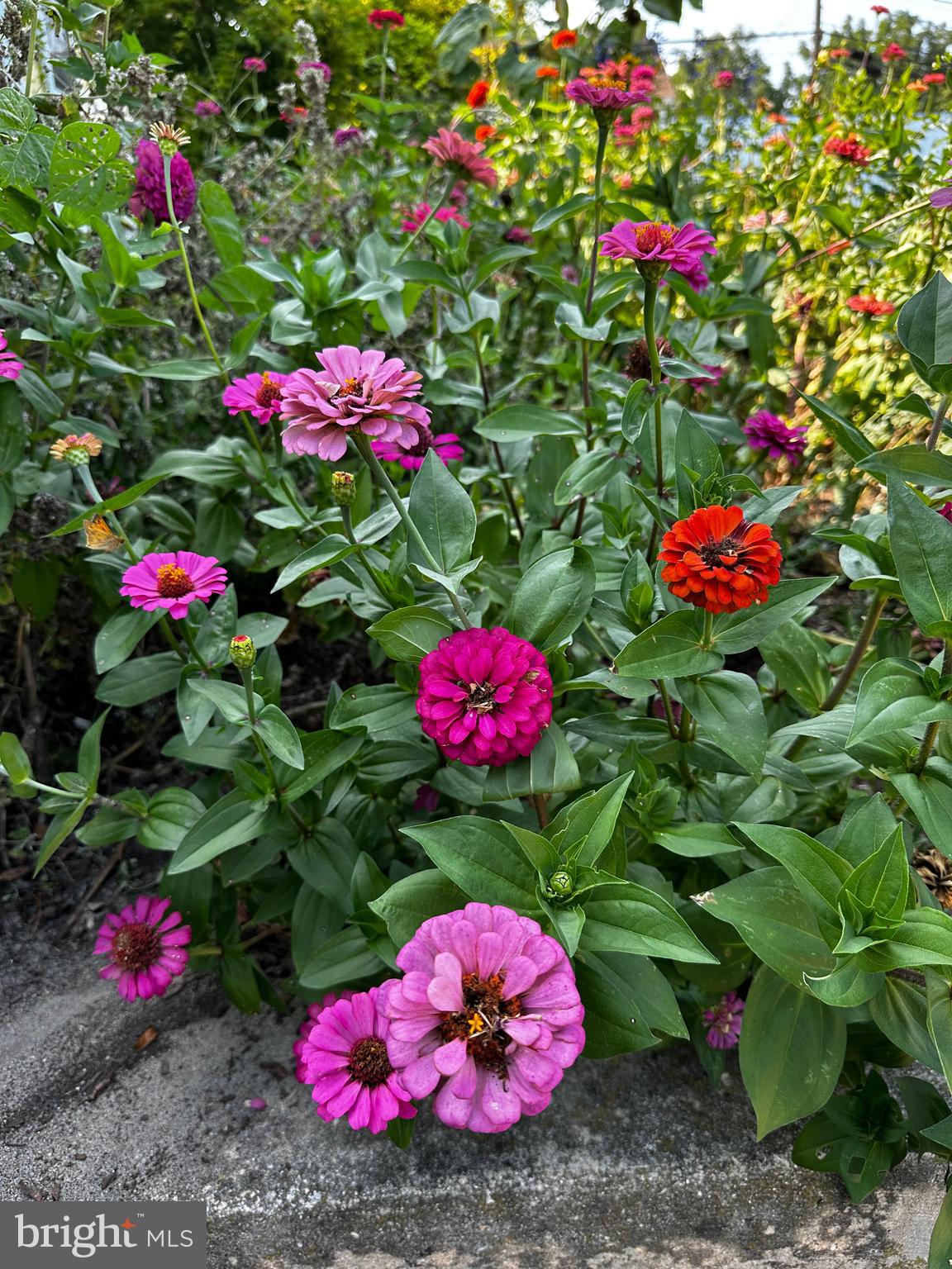 201 Federal Street Milton, DE 19968 - Photo 65 of 78